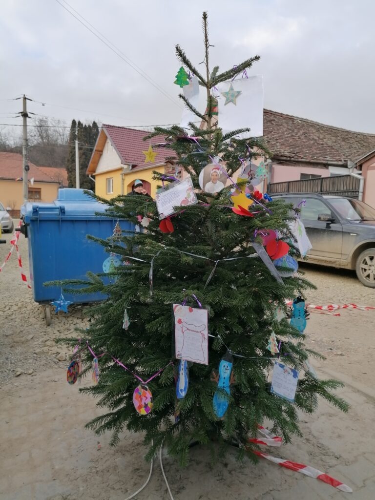 Brazii din Târgul de Crăciun din Șura Mare, împodobiți de elevi școlii din comună cu ornamente inedite realizate chiar de mânuțele lor