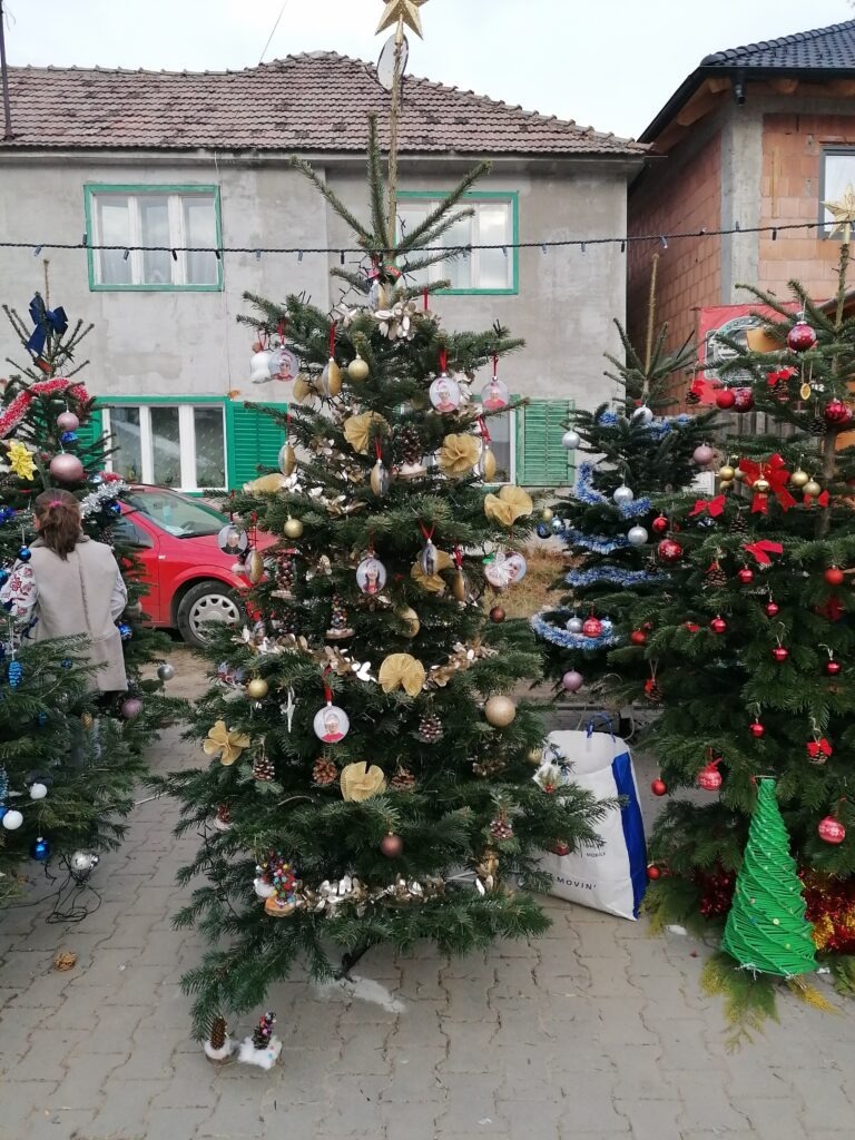 Brazii din Târgul de Crăciun din Șura Mare, împodobiți de elevi școlii din comună cu ornamente inedite realizate chiar de mânuțele lor