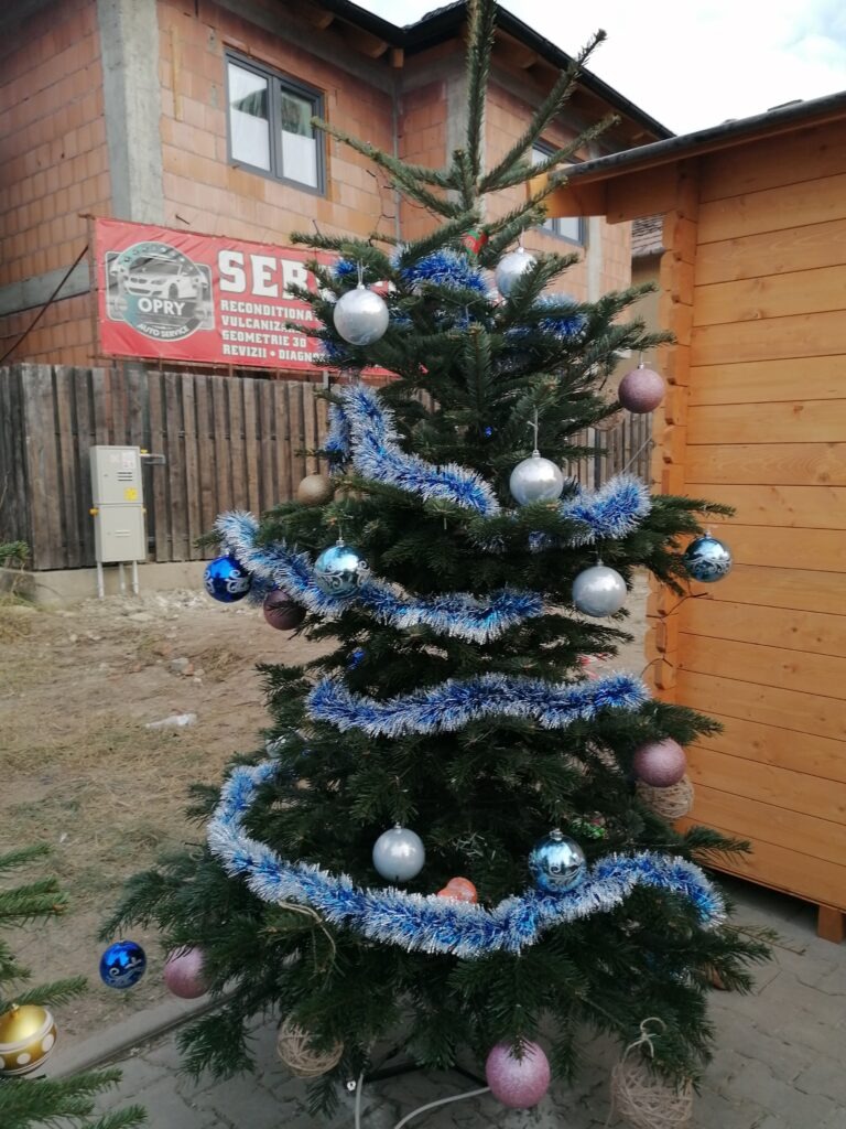 Brazii din Târgul de Crăciun din Șura Mare, împodobiți de elevi școlii din comună cu ornamente inedite realizate chiar de mânuțele lorBrazii din Târgul de Crăciun din Șura Mare, împodobiți de elevi școlii din comună cu ornamente inedite realizate chiar de mânuțele lor