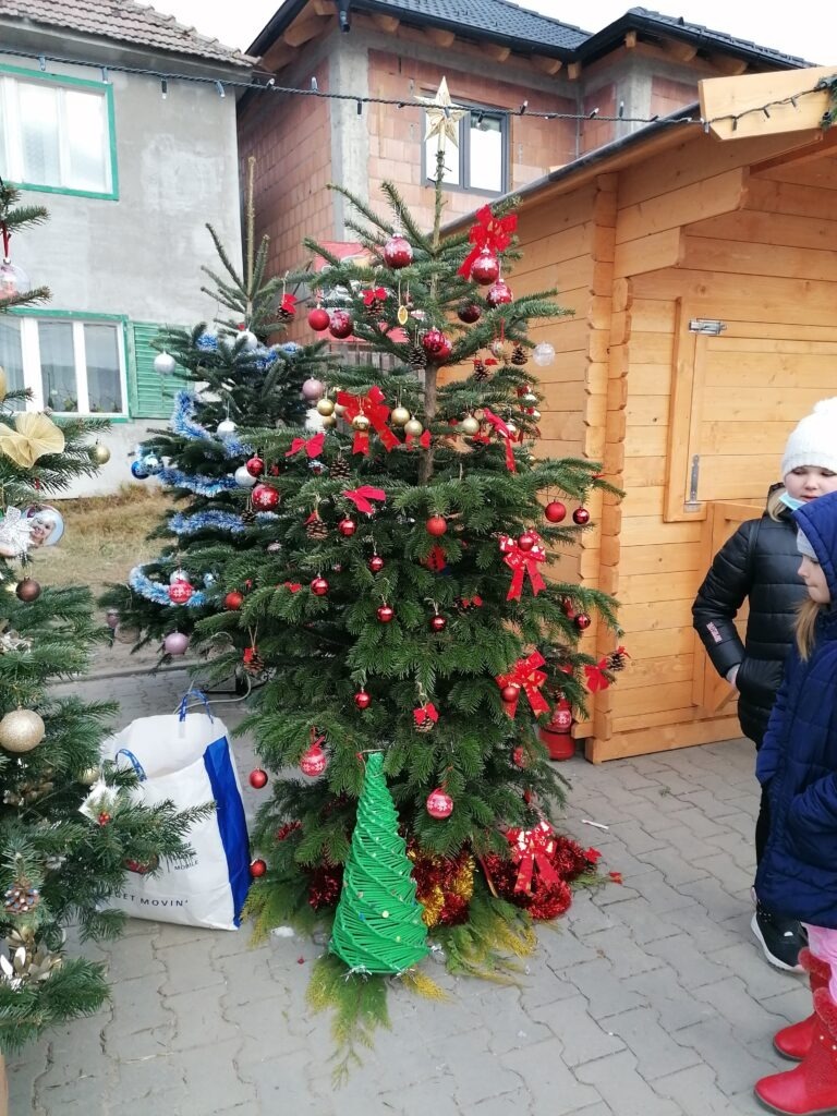 Brazii din Târgul de Crăciun din Șura Mare, împodobiți de elevi școlii din comună cu ornamente inedite realizate chiar de mânuțele lor