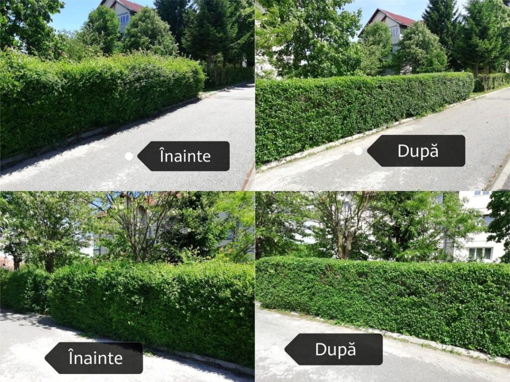 Oameni gospodari- Până acum au fost oferite peste 215 echipamente pentru înfrumusețarea spațiilor verzi