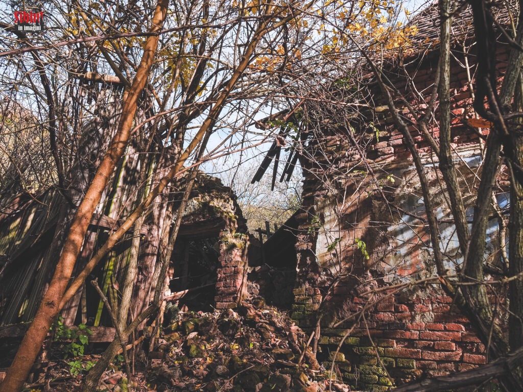 FOTO Mighindoala, satul sibian în care doar Dumnezeu mai locuiește