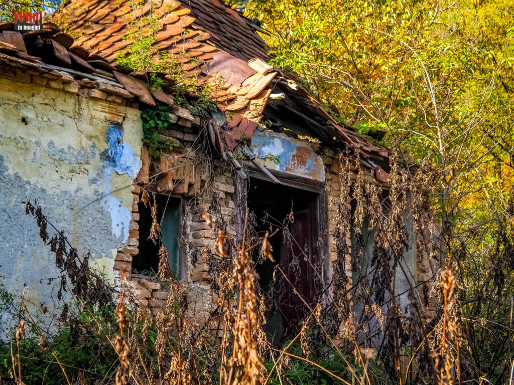 FOTO Mighindoala, satul sibian în care doar Dumnezeu mai locuiește