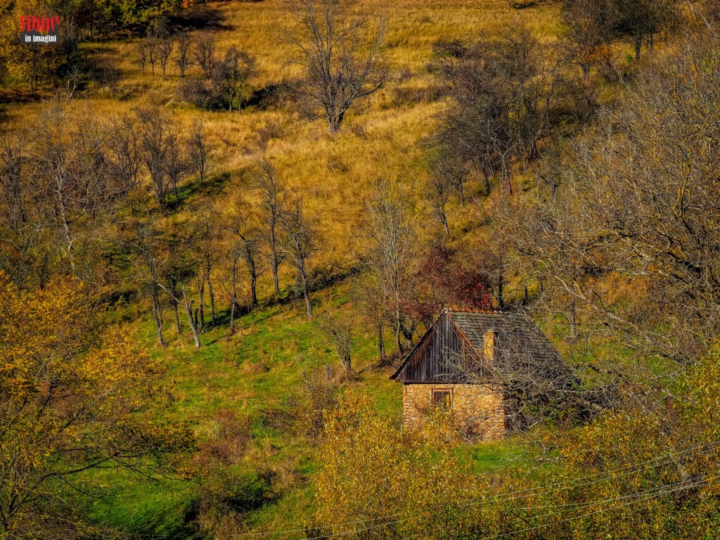 FOTO Mighindoala, satul sibian în care doar Dumnezeu mai locuiește