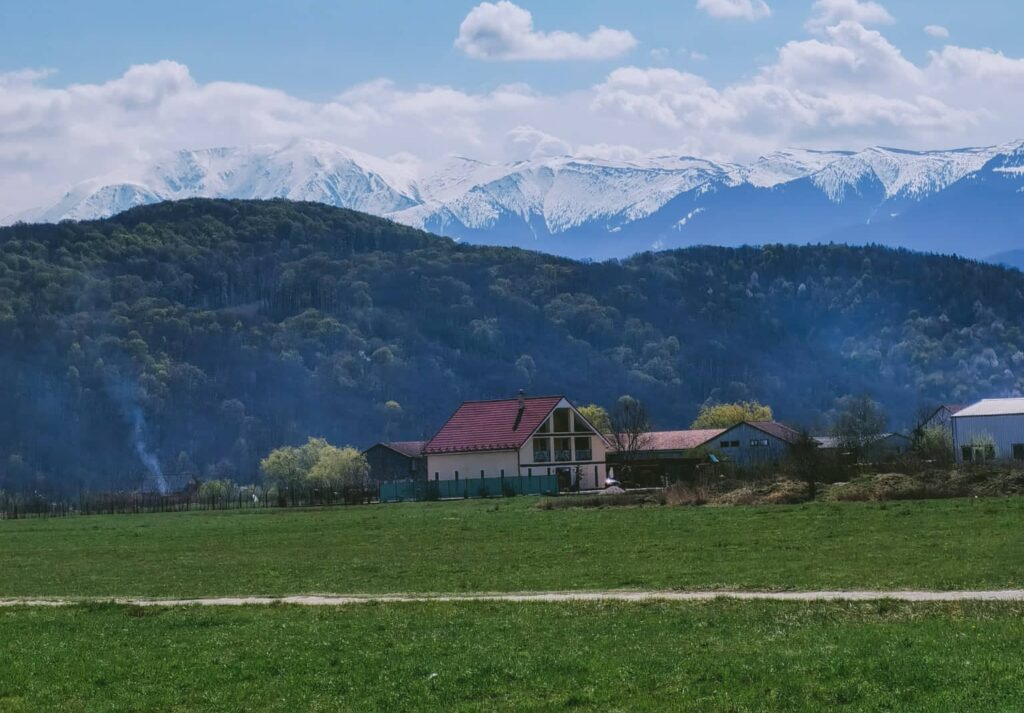 Acțiune de curățenie voluntară în orașul Tălmaciu