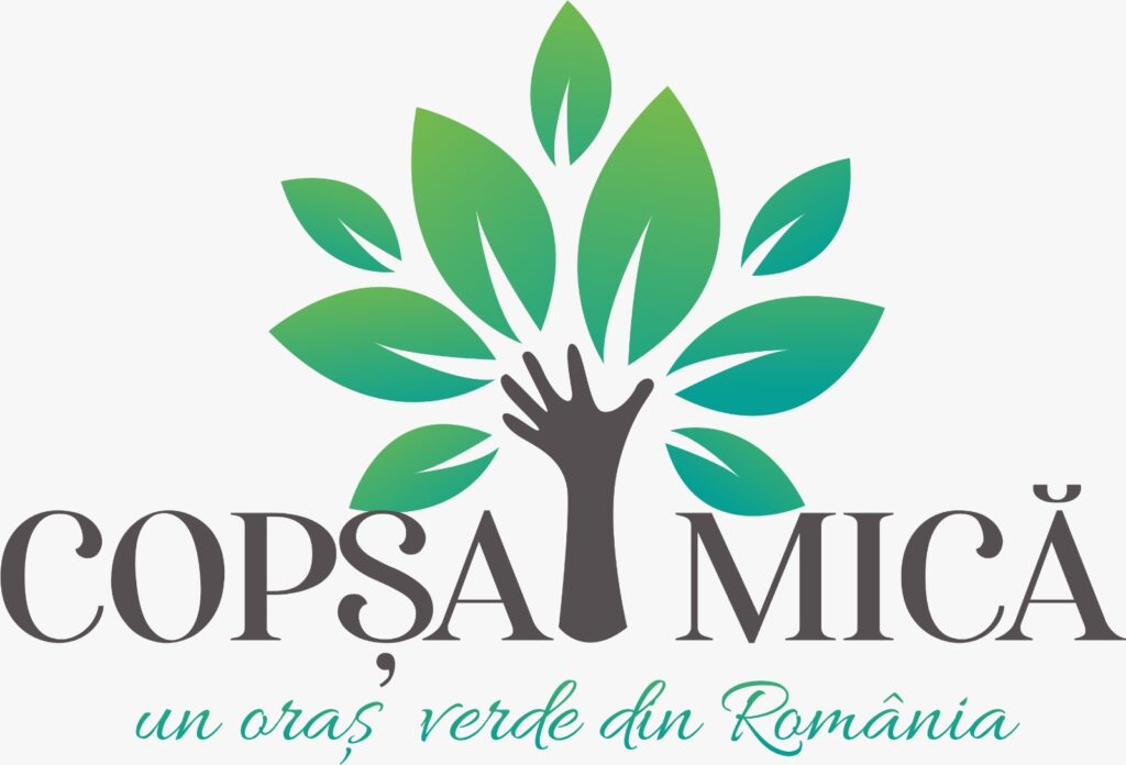 Elevii copșeni au participat la acțiunea de curățare a zonei Picnic și a pârâului de la Izvor până la Capelă