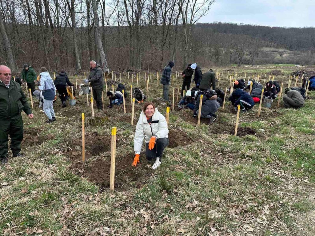 Elevii primei doamne a României au plantat în Săptămâna Verde puieți forestieri din speciile gorun și frasin