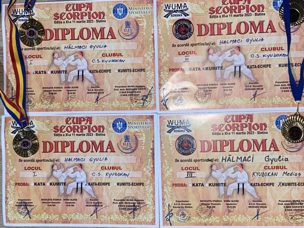 Vă propunem să îi cunoașteți pe axentiștii de la CS Kyudokan