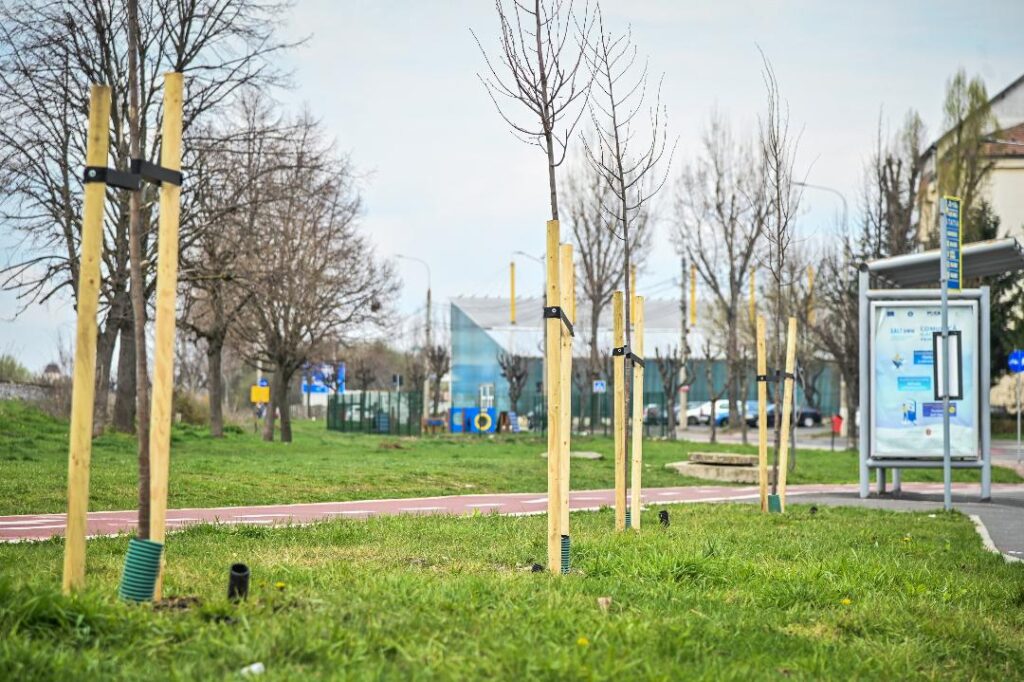 Primăria Sibiu plantează 150 de arbori și 200 de arbuști