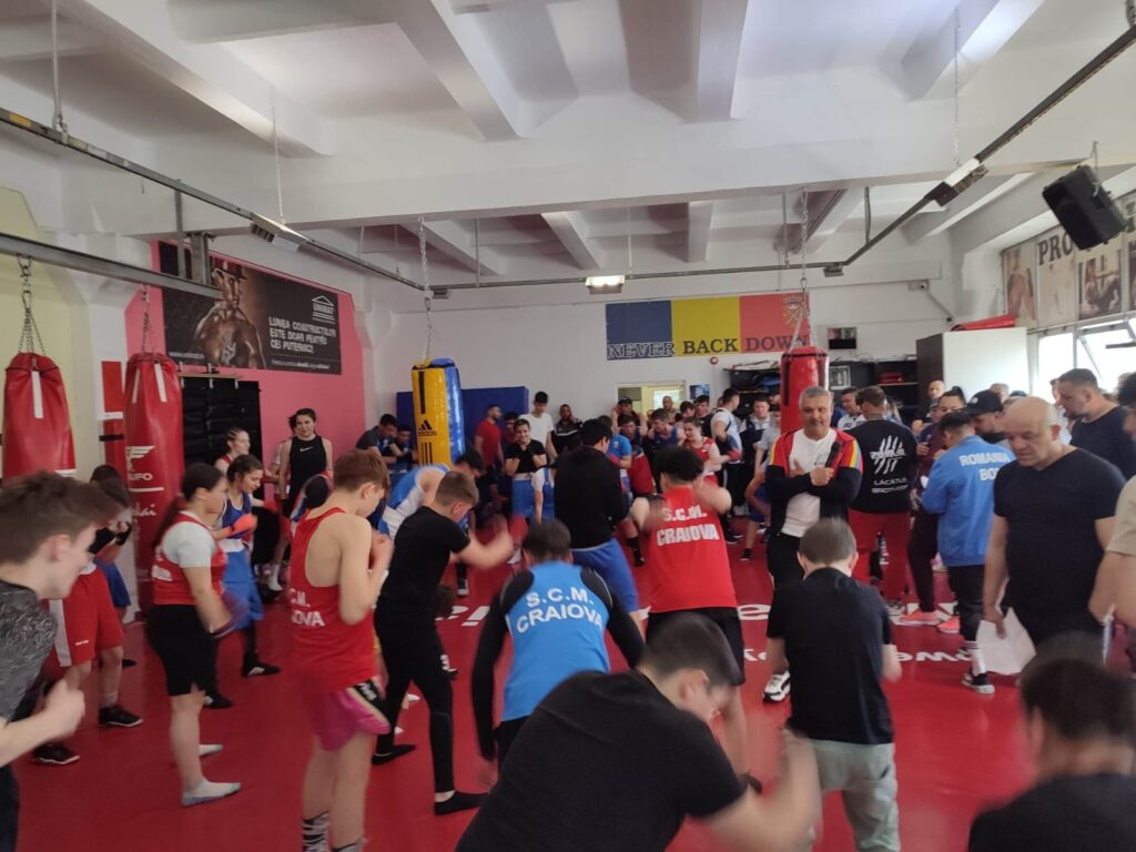 Cel mai mare antrenament comun de box, organizat la ACS GI BOX ACADEMY Sibiu