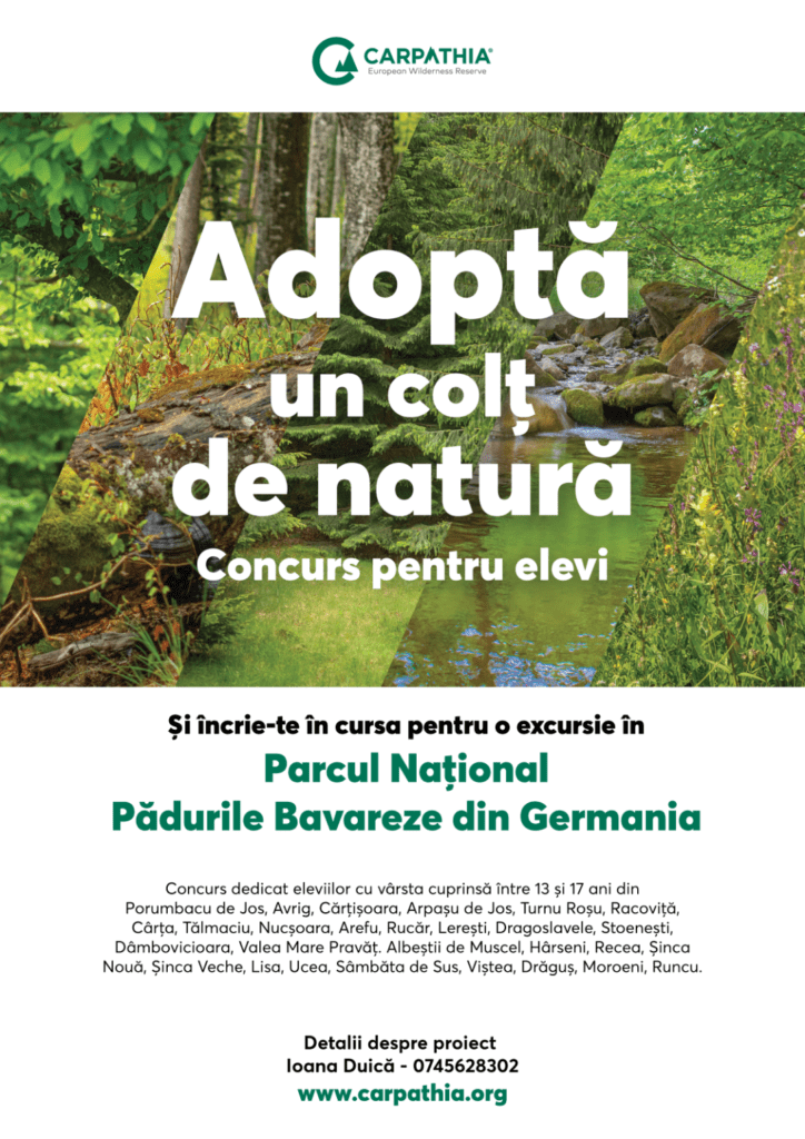 Fundația Conservation Carpathia și Parcul Național Pădurile Bavariei invită elevii din jurul Munților Făgăraș să „Adopte un colț de natură” simbolic și să se înscrie în cursa pentru o excursie de 7 zile, în Parcul Național Pădurile Bavareze, primul și cel mai mare parc național din Germania. Excursia va avea loc în perioada 23 – 29 iulie, iar termenul limită până la care tineriipot aplica este 10 iunie.
Concursul ,,Adoptă un colț de natură” este o inițiativă a Fundației Conservation Carpathia, cu scopul a crește interesul și implicarea direct a tinerilor în conservarea naturii. Tot ce trebuie să facă aceștia este să aleagă un loc din natură, fie el un deal, un râuo pajiște, sau o mlaștină din zona în care locuiesc și să ne povestească de ce este special și ce ar vrea să facă pentru a-l îngriji, dar și pentru a-l face cunoscut celor din jur.
La concurs se pot înscrie elevi din Porumbacu de Jos, Avrig, Cârțișoara, Arpașu de Jos, Turnu Roșu, Racoviță, Cârța, Tălmaciu (jud. Sibiu) Nucșoara, Arefu, Rucăr, Lerești, Dragoslavele, Stoenești, Dâmbovicioara, Valea Mare Pravăț, Albeștii de Muscel (jud. Argeș), Hârseni, Recea, Șinca Nouă, Șinca Veche, Lisa, Ucea, Sâmbăta de Sus, Viștea, Drăguș (jud. Brașov), Moroeni, Runcu (jud. Dâmbovița).
Elevii pot aplica până la data de 10 iunie, selecția se va desfășura în perioada 10-15 iunie, iar câștigătorii vor fi anunțați pe site-ul carpathia.org și vor fi contactați telefonic. Mai multe detalii despre concurs se regăsesc în formularul de înscriere care poate fi descărcat de aici.
Aplicațiile se trimit către Ioana Duică, specialist educație Fundația Conservation Carpathia, la adresa: i.duica@carpathia.org
Un număr de 15 elevi vor fi premiați cu o excursie de 7 zile în Germania, în Parcul Național Pădurile Bavareze, unde vor fi însoțiti de o echipă din cadrul fundației. Criteriile de aplicare și selecție sunt accesibile printr-un click pe site-ul Fundației Conservation Carpathia.Despre Fundația Conservation Carpathia
Fundația Conservation Carpathia este cel mai mare proiect de conservare a naturii din Europa, care contribuie la refacerea ecosistemelor naturale din Munții Carpați, în beneficiul biodiversității și a comunităților locale. Din 2009, fundația a salvat de la exploatare peste 27.000 de hectare de păduri și pășuni alpine în sud‑estul Carpaților Meridionali, achiziționându-le cu scop de conservare, a plantat peste 3.7 milioane de puieți pe 1.819 ha afectate de tăieri, a creat o zonă de 78.000 ha pe care nu se desfășoară vânătoare sportivă și de trofee. Fundația contribuie la bunăstarea comunităților din vecinătatea pădurilor protejate prin proiecte sociale, de educație și de dezvoltare de afaceri verzi, iar viziunea pe termen lung este crearea Parcului Național Munții Făgăraș.
