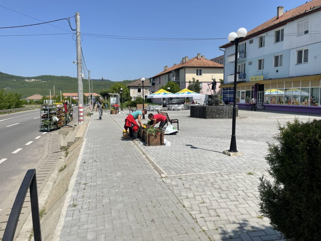 FOTO - Copșa Mică prinde culoare! Sute de flori, plantate în oraș
