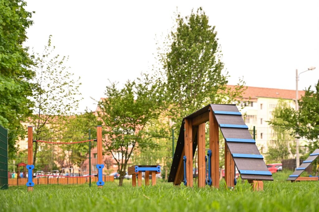Primăria Sibiu a deschis 3 locuri de joacă pentru câini