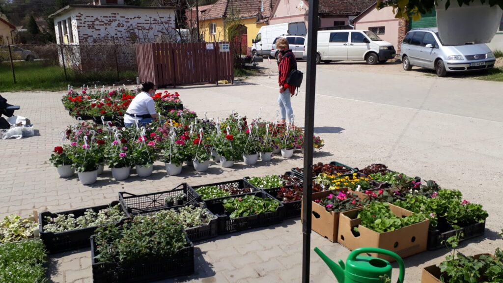 „TÂRG DE FLORI LA ȘURA MARE" - o expoziție cu vânzare ce își propune să marcheze sosirea primăverii