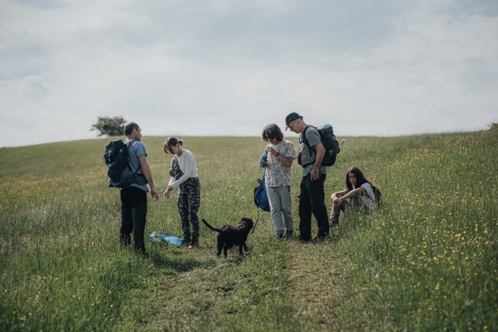 Circuit potrivit pentru familii cu patrupezi și copii cuprinzând zona Hosman – Glâmboaca, cu vedere panoramică asupra Munților Făgăraș