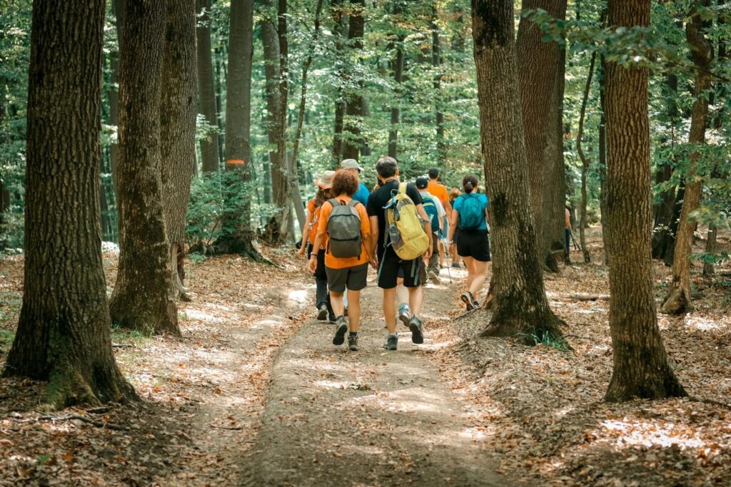 Micăsasa găzduiește „Picnic cu priveliste pe Via Transilvanica”