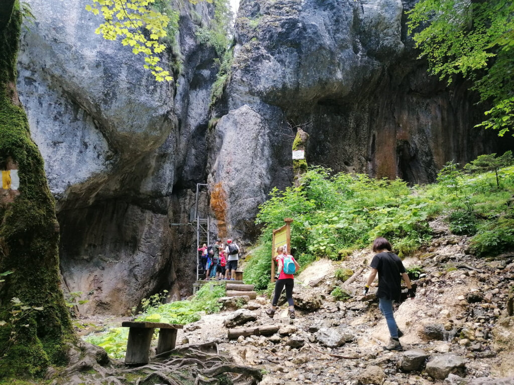 Drumeție la Canionul 7 Scări - cu plecare din Sibiu