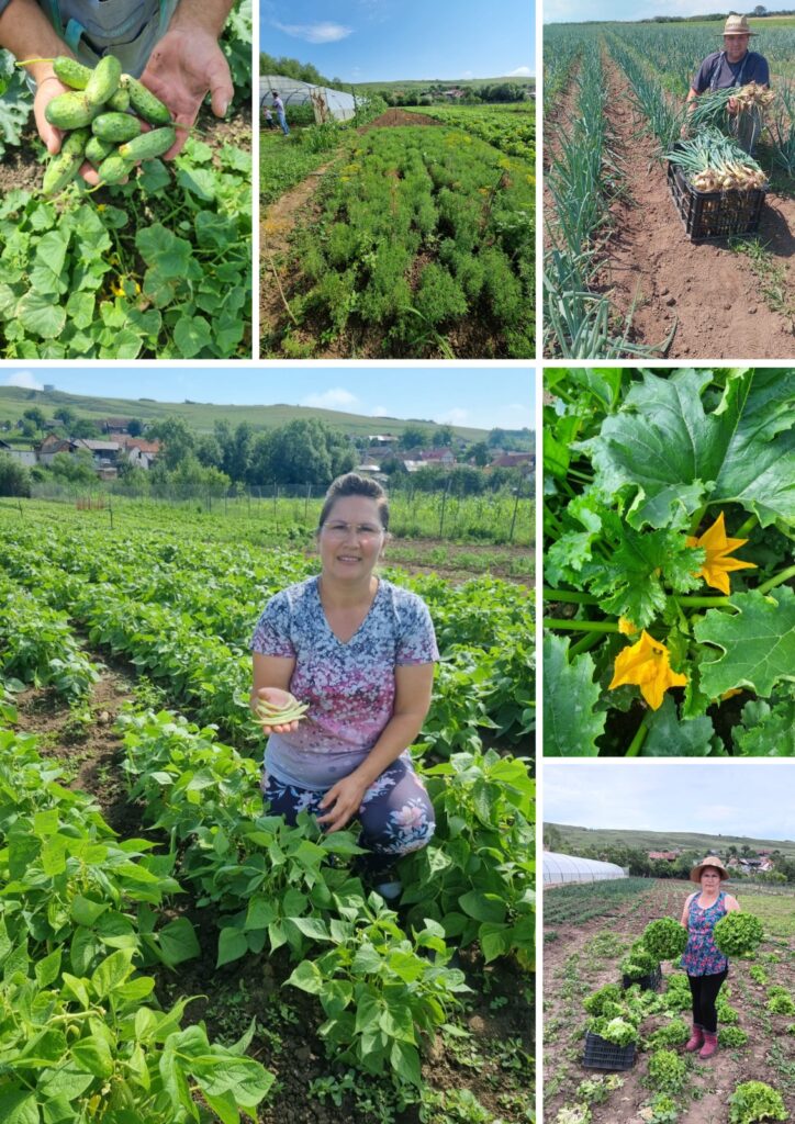 În Piața Volantă Transilvania, familia Turoiu vă așteaptă cu masa plină de rodul muncii lor