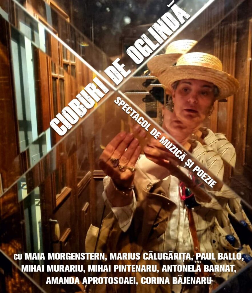 Maia Morgenstern aduce un val de emoție melomanilor prezenți în Sala Thalia prin intermediul piesei de teatru "Cioburi de oglindă"