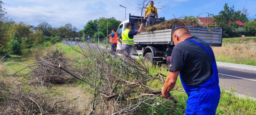 Primăria Mediaș este din nou prezentă în cadrul „Let’s Do It, Romania“