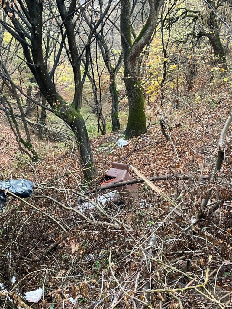 Persoanele identificate au fost sancționate contraventional conform HCL 72/2018, iar zona va trebui igienizată în 24 de ore.