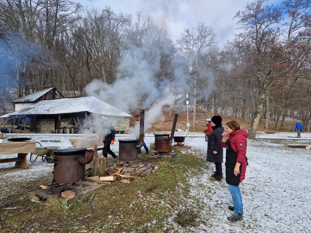 Răceala piftiilor a adus 2000 de vizitatori la Muzeul ASTRA weekendul trecut
