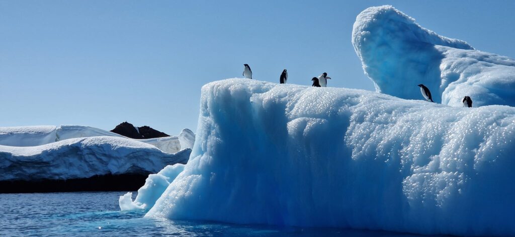 VIDEO - Adrian Bibu a pornit pe urmele lui Emil Racoviță și a ajuns în Antarctica
