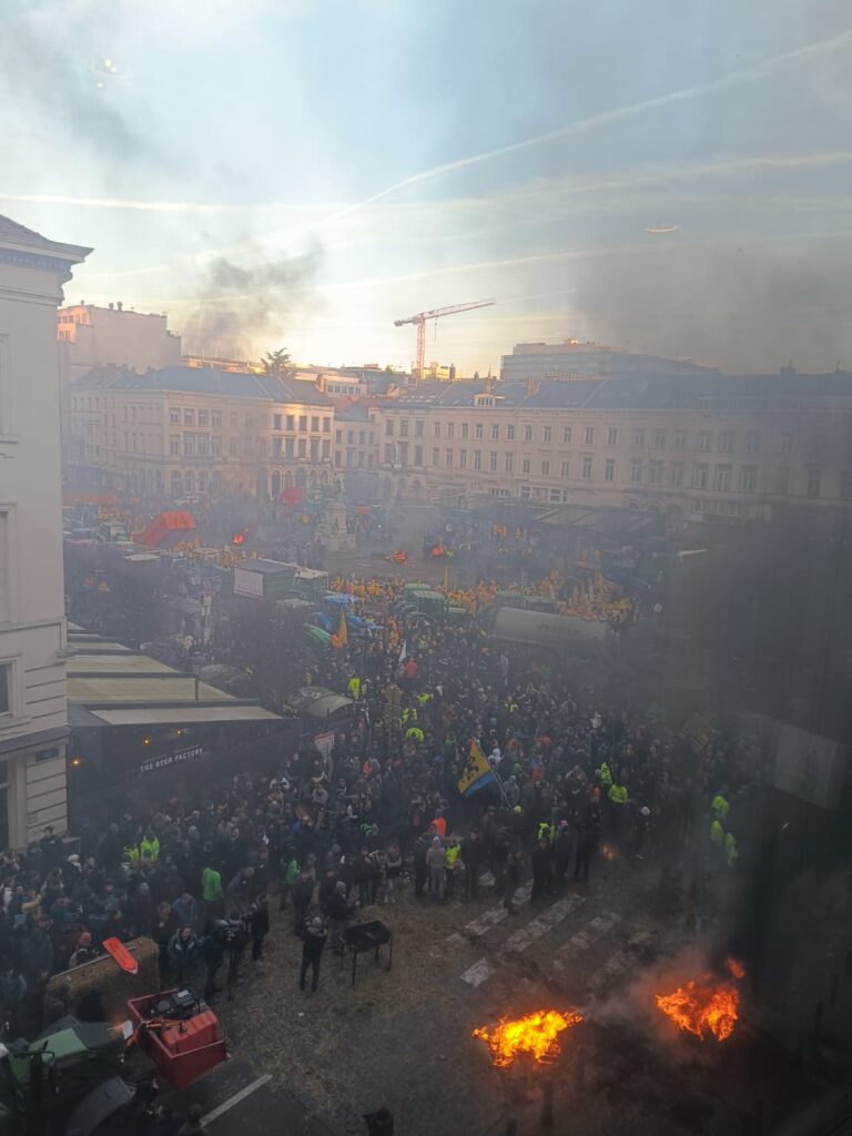 VIDEO - Nicu Ștefănuță: Protestul fermierilor a acaparat cu totul Bruxelles-ul