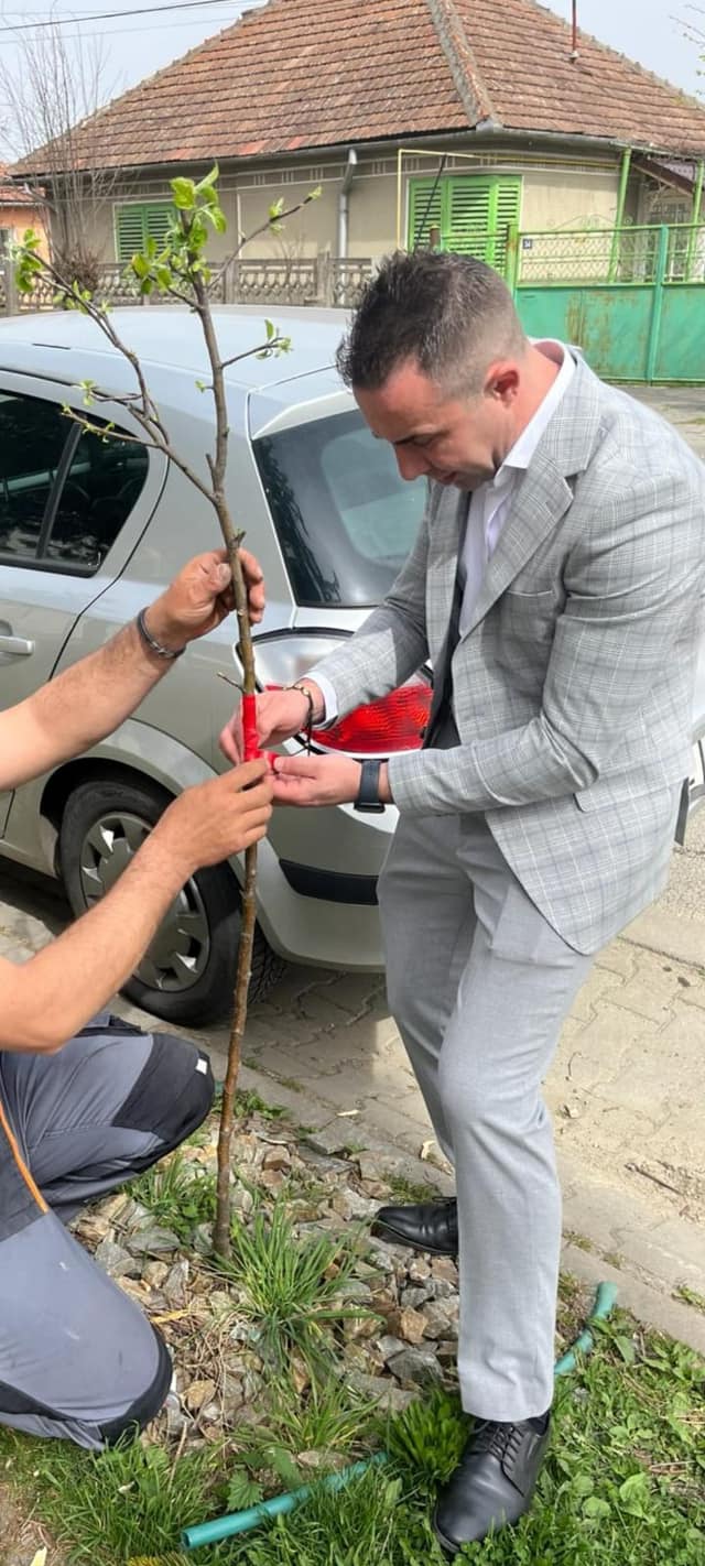Au înflorit cireşii...Au înflorit cireşii, O, Doamne, ce splendoare! Şi-au pus hlamide albe, Brodate-n roz de soare. Sărută cerul floarea, Când vântul o răsfiră Şi se cunună zarea, Iar fluturii conspiră. E-atâta frumuseţe La nunta de petale, Dar simt cumva tristeţe Când văd, cum ramuri goale, Umile-ngenunchează Tot sărutând pământul Şi tremură a groază Când rău, nechează vântul. Ne-asemănăm cu ei În mândra tinereţe, Pe trupuri ca de zei, Veşminte îndrăzneţe. În florile dorinţei Stamine de candoare Iar arşiţa fiinţei Prea mult risipitoare. Vâltoarea vieţii fură Toţi anii plini de floare Şi soarta nu se-ndură... Amară întomnare! Cireşi prin anotimpuri Cu zbucium în rafale, Lăsăm în urmă muguri Cu seve-adânci, vitale. Vor înflori-n lumină Şi ne vor da de ştire, C-adânca rădăcină Trăieşte întru 'nnoire! Angelina Nădejde -- versuri din vol. Sunt un alt anotimp