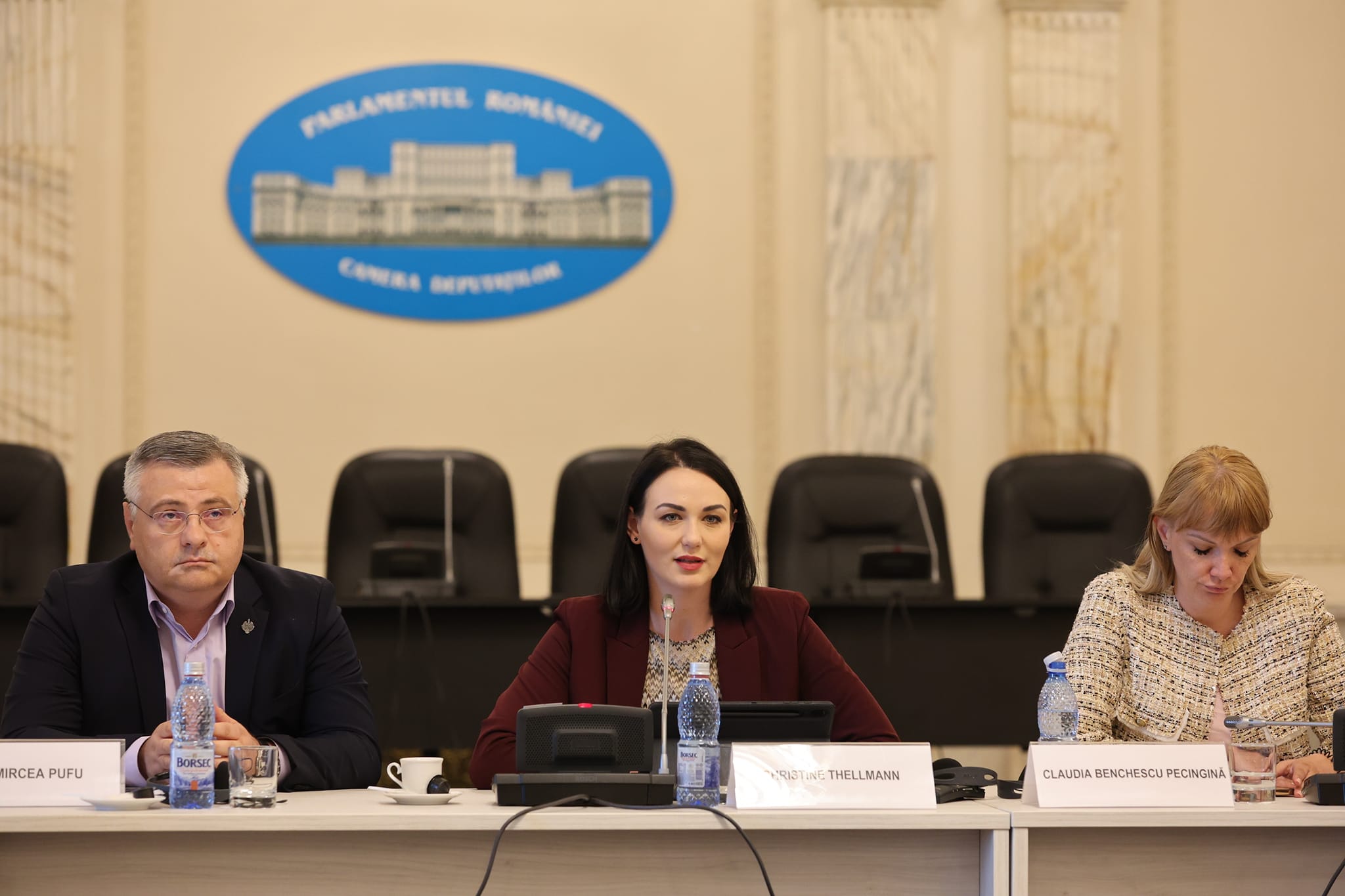 Deputata Christine Thellmann: România este tot mai aproape de a fi parte din OCDE