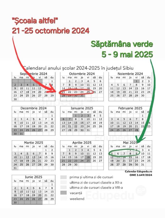 Școala Altfel și Săptămâna Verde la Școala Gimnazială „Sava Popovici Barcianu” din Rășinari