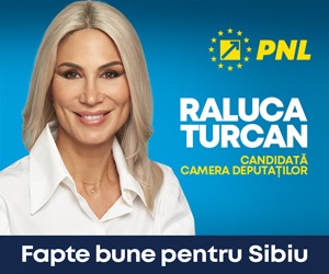 Publicitate