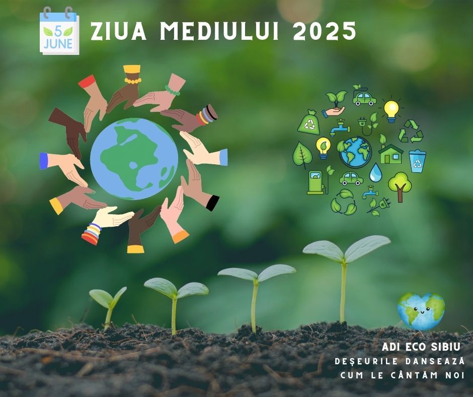Ziua Mondială a Mediului, sărbătorită printr-o acțiune de ecologizare la Boița