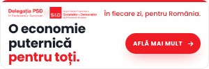 Publicitate Politica